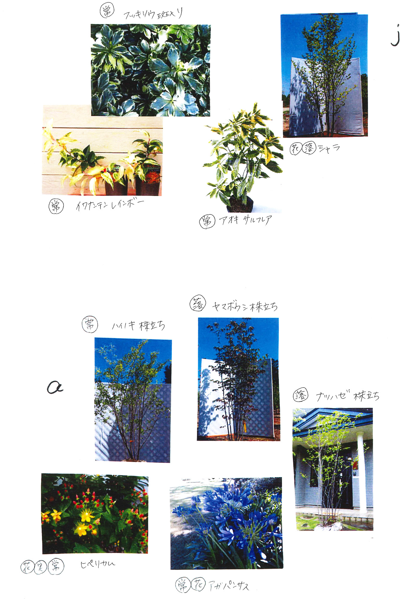 正方形2個分480×240