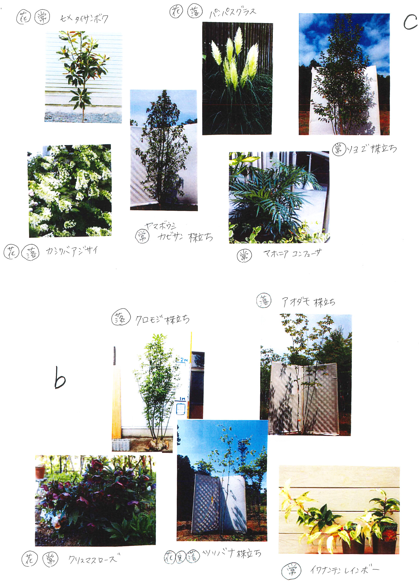 正方形2個分480×240