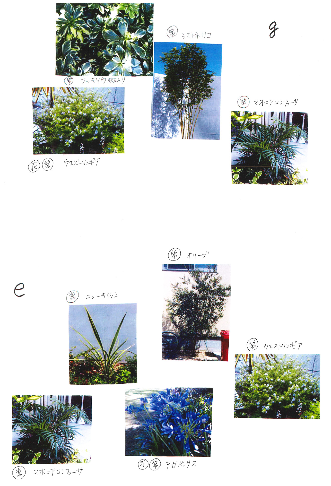 正方形2個分480×240