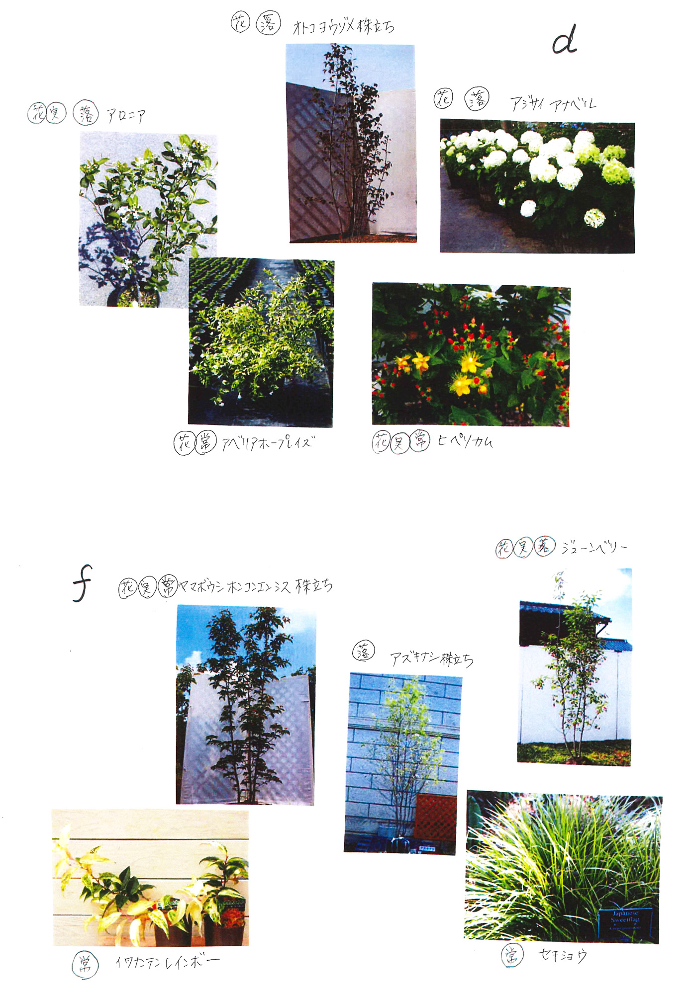 正方形2個分480×240