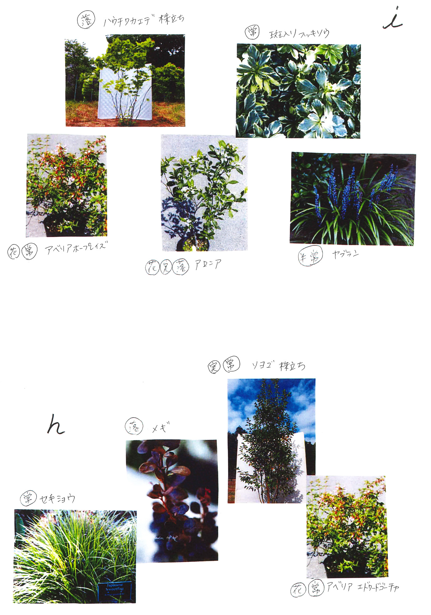 正方形2個分480×240