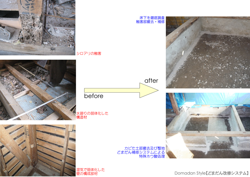 正方形2個分480×240